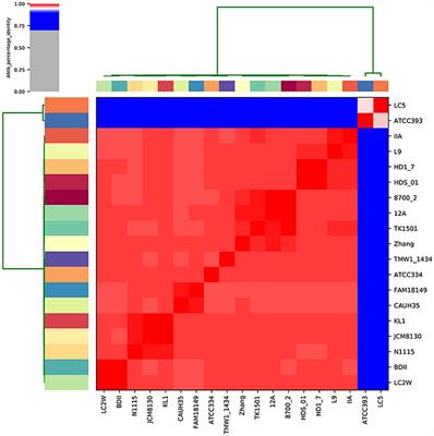 Genetic Signatures of Dairy Lactobacillus casei Group